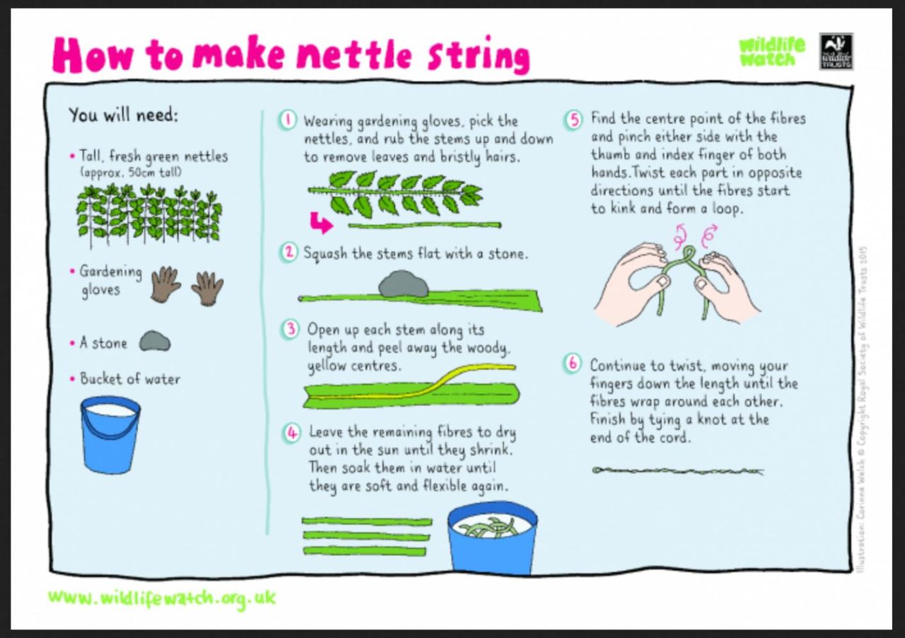 nettlestring nettlestring